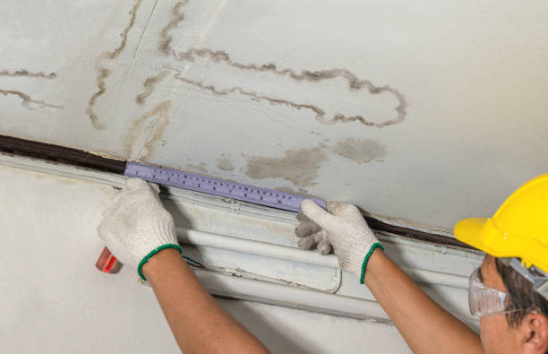 Reliable Water Damage contractor in Clarksville, VA by Water Damage Irwin